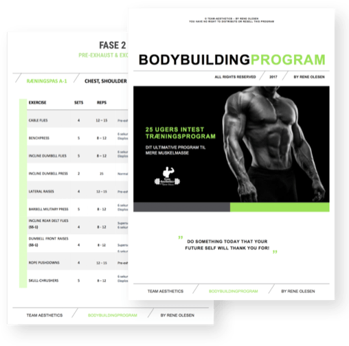 Bodybuilding program