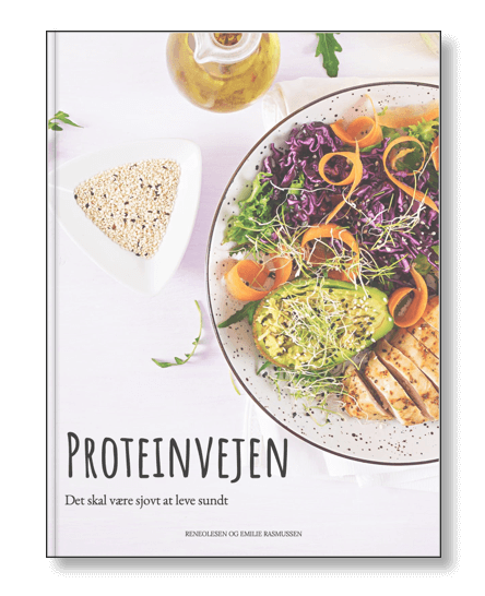 Proteinvejen